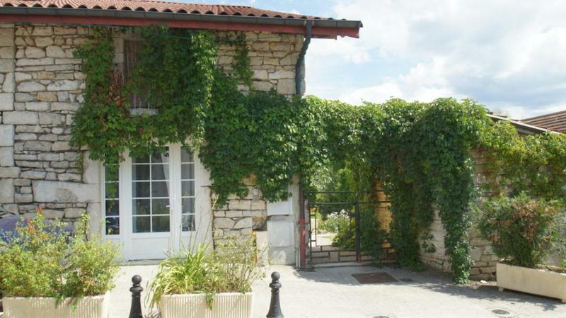 Ancolie * Oyonnax